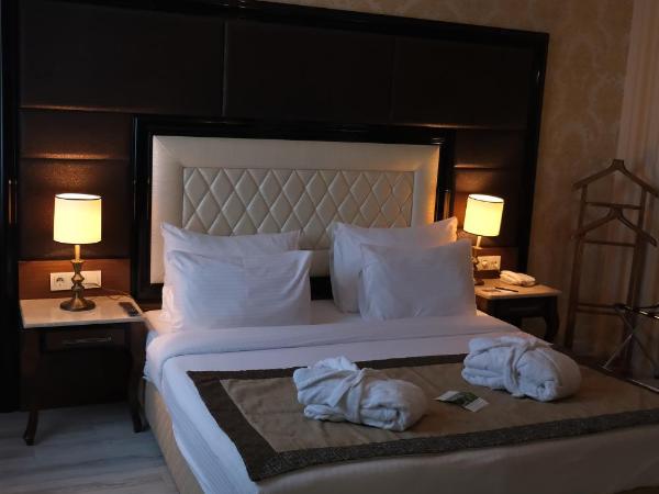 Asia City Hotel Istanbul : photo 6 de la chambre suite