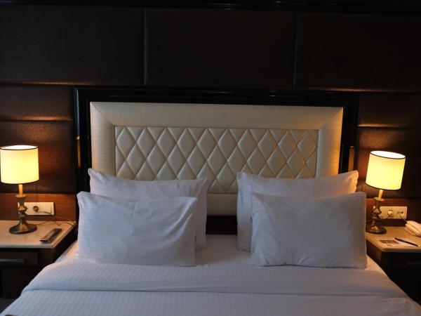 Asia City Hotel Istanbul : photo 5 de la chambre suite