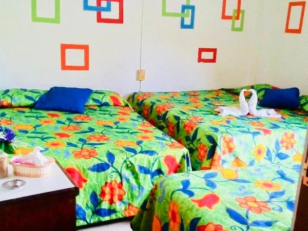 Hotel zócalo abuelos : photo 5 de la chambre studio