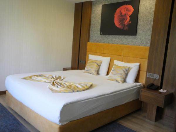 ANKUVA HOTEL : photo 3 de la chambre chambre simple