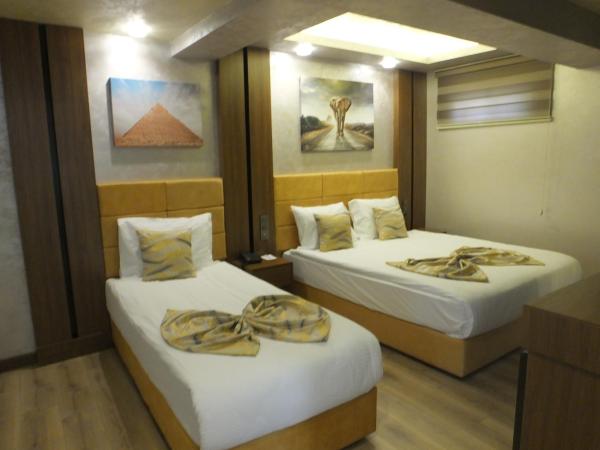 ANKUVA HOTEL : photo 9 de la chambre chambre double