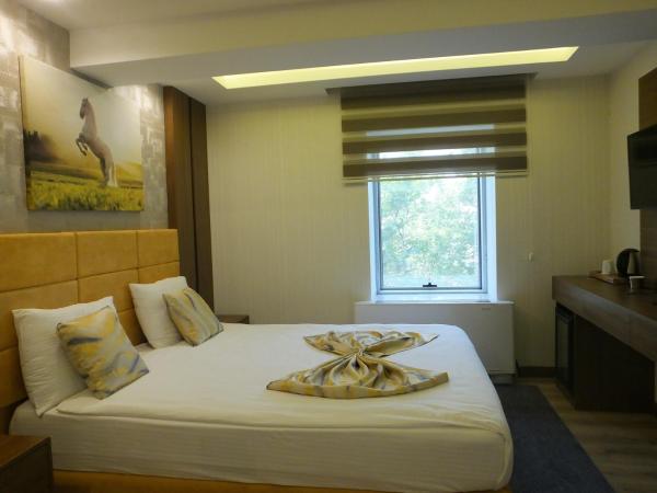 ANKUVA HOTEL : photo 8 de la chambre chambre double