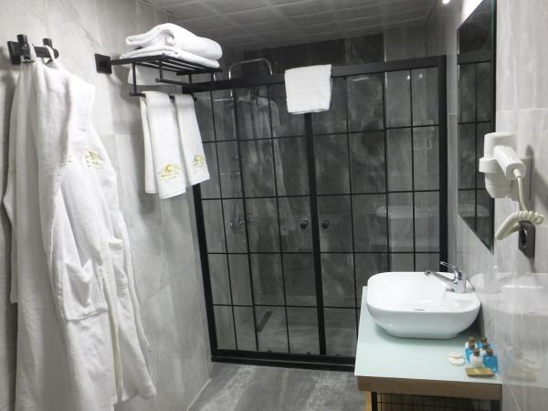 ANKUVA HOTEL : photo 6 de la chambre suite