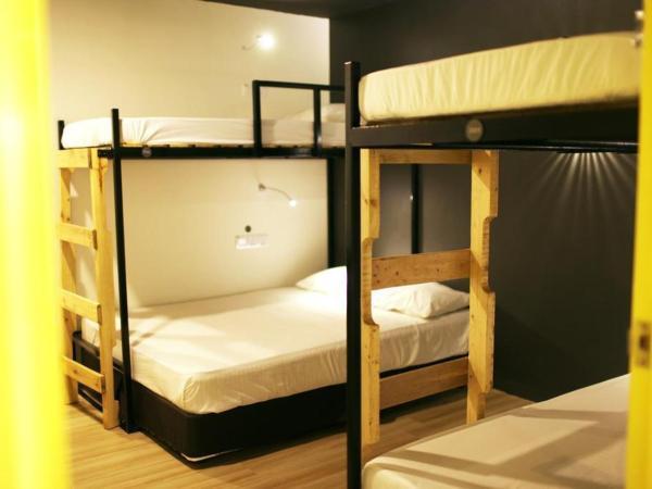 Revopackers Beds and Bunks : photo 1 de la chambre dortoir de 4 lits pour hommes