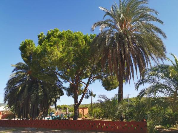 Relais Pollo Loco : photo 6 de la chambre chambre quadruple avec terrasse