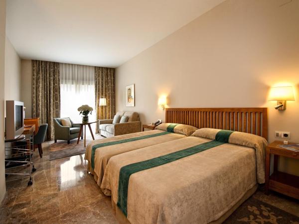 Parador de Cordoba : photo 3 de la chambre chambre double standard