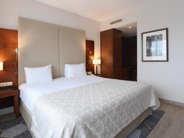 Crowne Plaza Maastricht, an IHG Hotel : photo 3 de la chambre suite 1 chambre - vue sur rivière