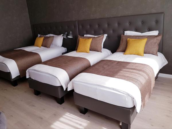 Hotel Ísland - Spa & Wellness Hotel : photo 2 de la chambre chambre lits jumeaux supérieure - accès gratuit au spa