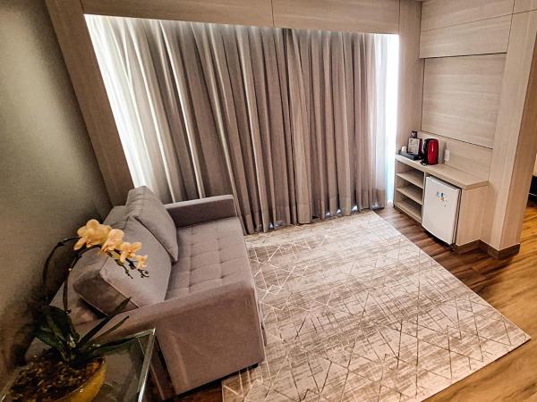 eSuites Belo Horizonte Minascasa : photo 1 de la chambre studio avec canapé-lit