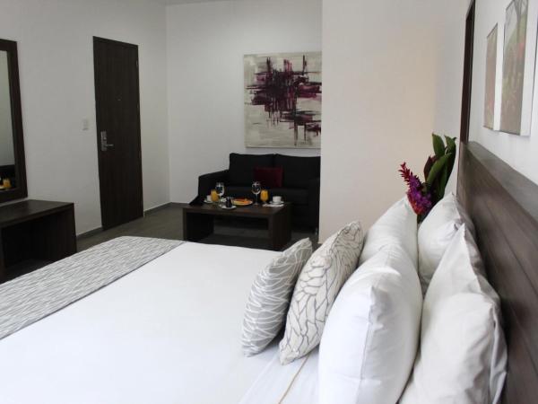 Mesón de la Luna Hotel & Spa : photo 5 de la chambre suite lit king-size avec baignoire spa