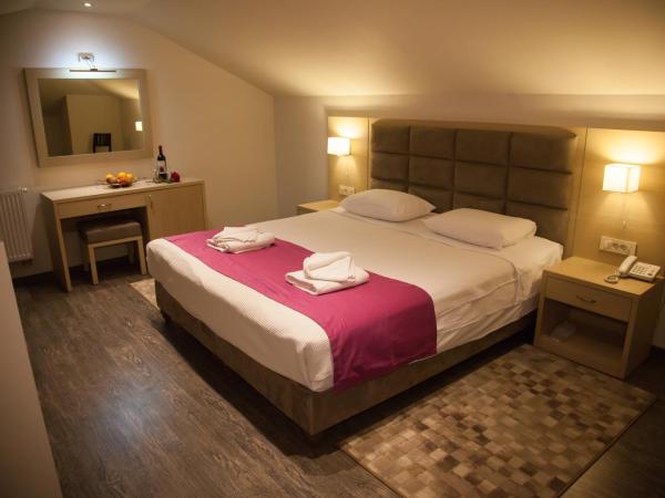 Filokalia Hotel : photo 5 de la chambre chambre mansardée de luxe