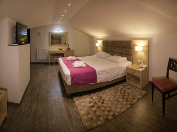 Filokalia Hotel : photo 2 de la chambre chambre mansardée de luxe