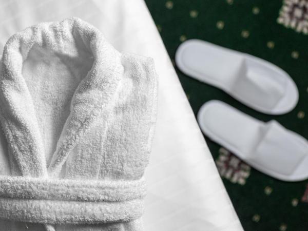 Grandhotel Nabokov : photo 3 de la chambre comfort single room with wellness access