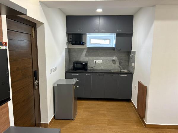 Palladium Luxury Suites Financial District Unit II : photo 8 de la chambre studio avec balcon 