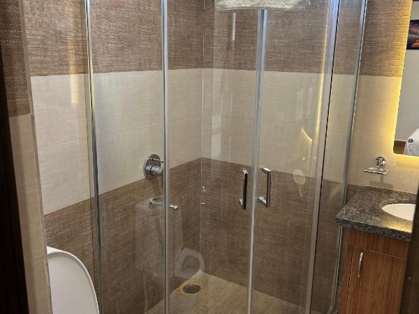 Palladium Luxury Suites Financial District Unit II : photo 9 de la chambre studio avec balcon 