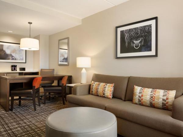 Embassy Suites Oklahoma City Downtown/Medical Center : photo 2 de la chambre suite lit king-size