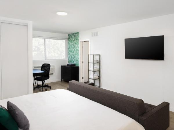 Fenix Hotel Hollywood : photo 6 de la chambre studio lit king-size avec canapé-lit