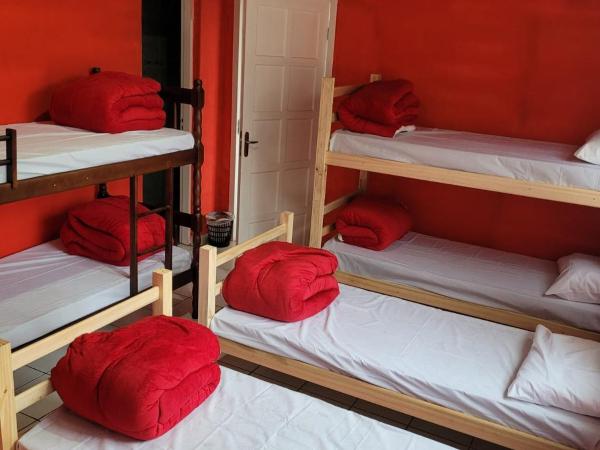 Hostel Kaizen : photo 2 de la chambre lit dans dortoir pour femmes de 6 lits