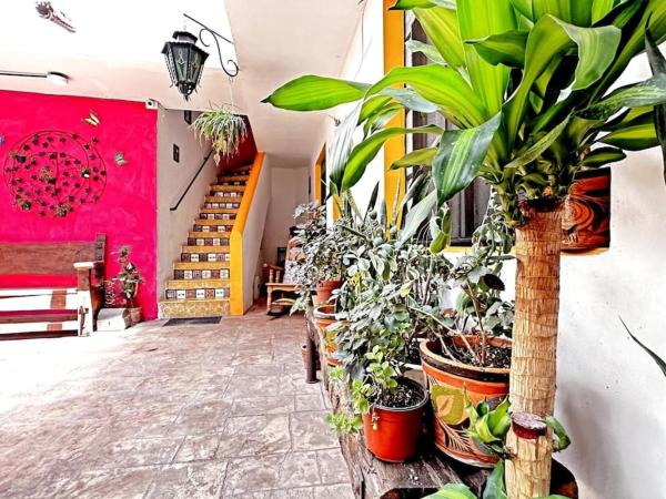 #1-Rooftop Garden-7 Bedrooms-9 Beds-3 Kitchens : photo 4 de la chambre maison de vacances