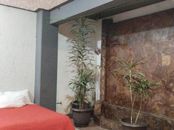 Gran México : photo 9 de la chambre appartement - rez-de-chaussée