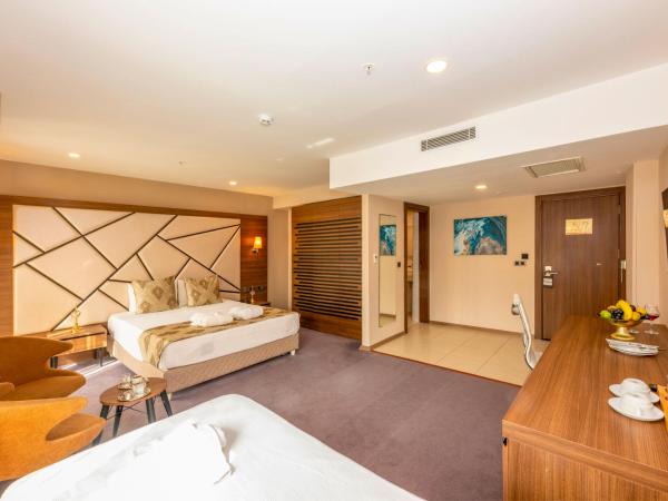 Litros Hotel & Spa : photo 10 de la chambre chambre triple standard