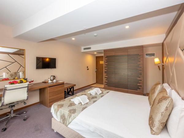 Litros Hotel & Spa : photo 3 de la chambre chambre double standard