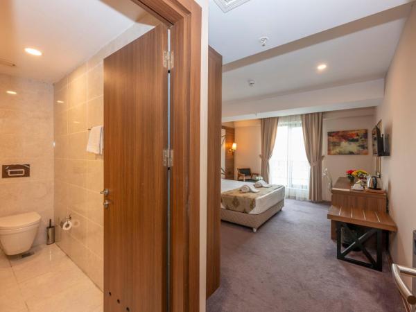 Litros Hotel & Spa : photo 6 de la chambre chambre double standard