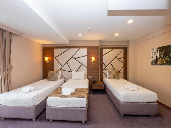 Litros Hotel & Spa : photo 6 de la chambre chambre triple standard