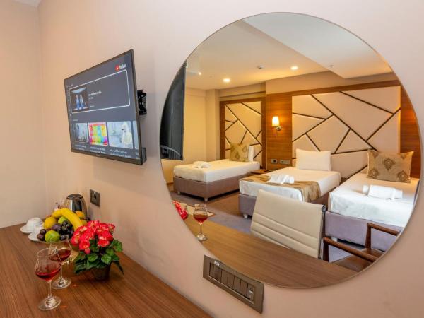 Litros Hotel & Spa : photo 7 de la chambre chambre triple standard