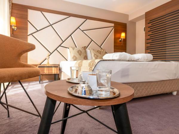 Litros Hotel & Spa : photo 7 de la chambre chambre deluxe