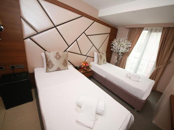 Litros Hotel & Spa : photo 9 de la chambre chambre double ou lits jumeaux standard