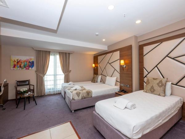 Litros Hotel & Spa : photo 8 de la chambre chambre triple standard