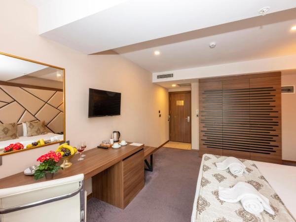 Litros Hotel & Spa : photo 4 de la chambre chambre double standard