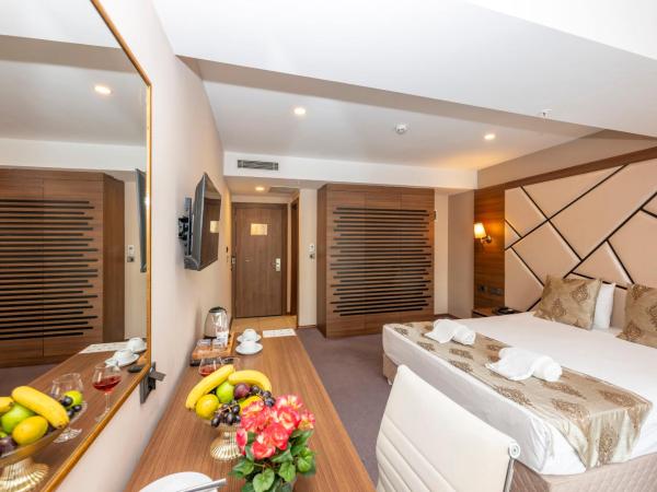 Litros Hotel & Spa : photo 5 de la chambre chambre simple standard