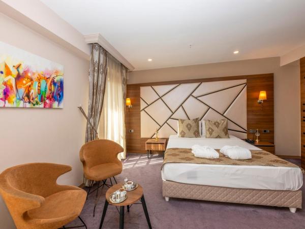 Litros Hotel & Spa : photo 3 de la chambre chambre deluxe