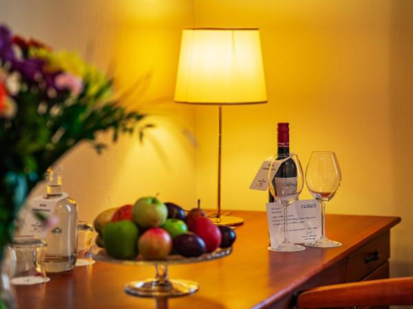 Hotel U Divadla - Czech Leading Hotels : photo 4 de la chambre chambre simple