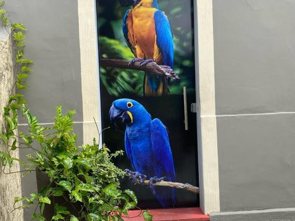 Aldeia Hostel II : photo 7 de la chambre lit superposé dans dortoir mixte