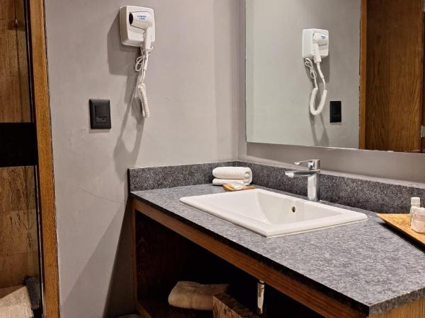 Hotel Guadalajara Plaza Ejecutivo : photo 3 de la chambre chambre lits jumeaux supérieure