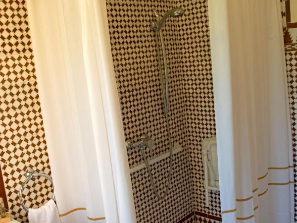Alhambra Palace Hotel : photo 4 de la chambre chambre pour personnes à mobilité réduite