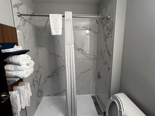 Microtel Inn by Wyndham Atlanta Airport : photo 5 de la chambre chambre 2 lits queen-size - non-fumeurs