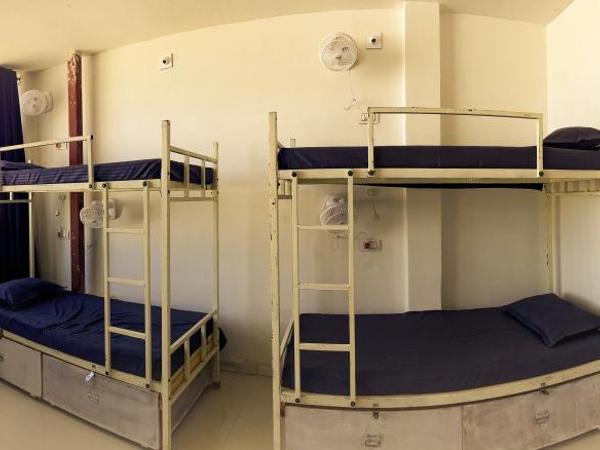 Hotstel Udaipur : photo 1 de la chambre lit dans dortoir mixte de 8 lits 