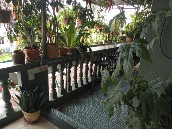 Marco Polo Guest House : photo 6 de la chambre chambre double avec salle de bains commune