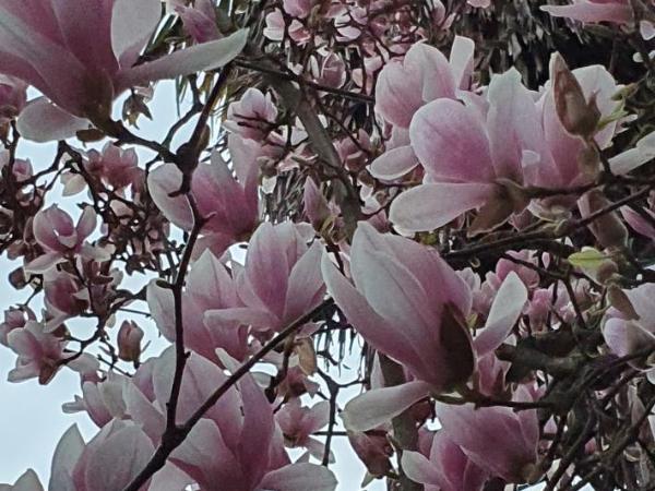 B&B La Coperta Ricamata : photo 4 de la chambre chambre double basique