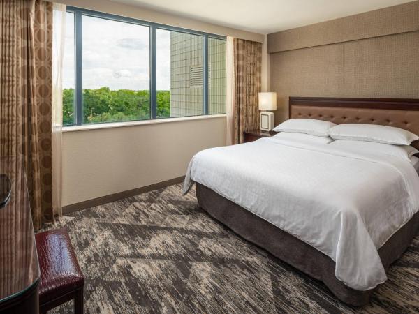 Sheraton Tampa Brandon Hotel : photo 1 de la chambre club level, suite, 1 king, sofa bed, central