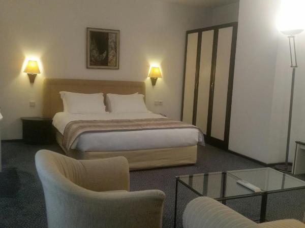 King Hotel Guvenlik : photo 5 de la chambre studio