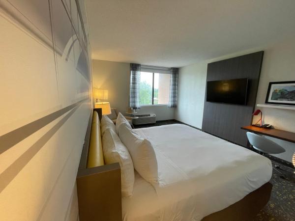 Saint Louis Airport Hotel : photo 8 de la chambre chambre lit king-size