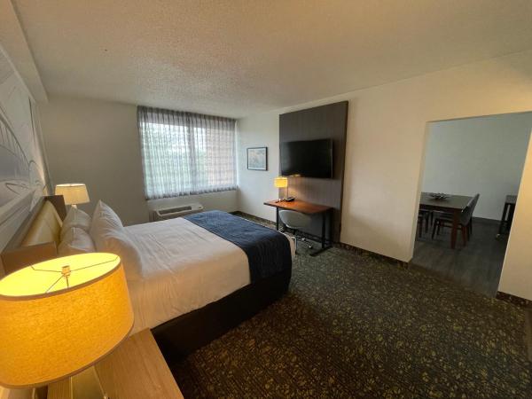 Saint Louis Airport Hotel : photo 6 de la chambre suite lit king-size exécutive
