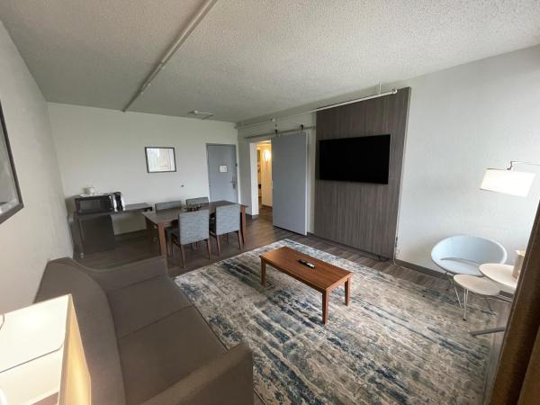 Saint Louis Airport Hotel : photo 10 de la chambre suite lit king-size exécutive