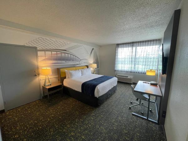 Saint Louis Airport Hotel : photo 9 de la chambre suite lit king-size exécutive