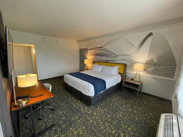 Saint Louis Airport Hotel : photo 7 de la chambre suite lit king-size exécutive